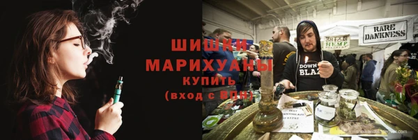 шишки Алексин