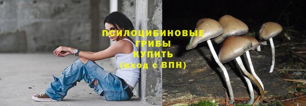 герыч Алексеевка