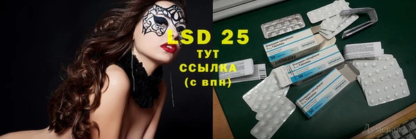 шишки Алексин