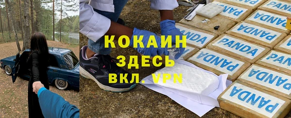 шишки Алексин