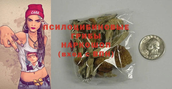 ГАЛЛЮЦИНОГЕННЫЕ ГРИБЫ Абинск