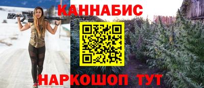 амф Гусев