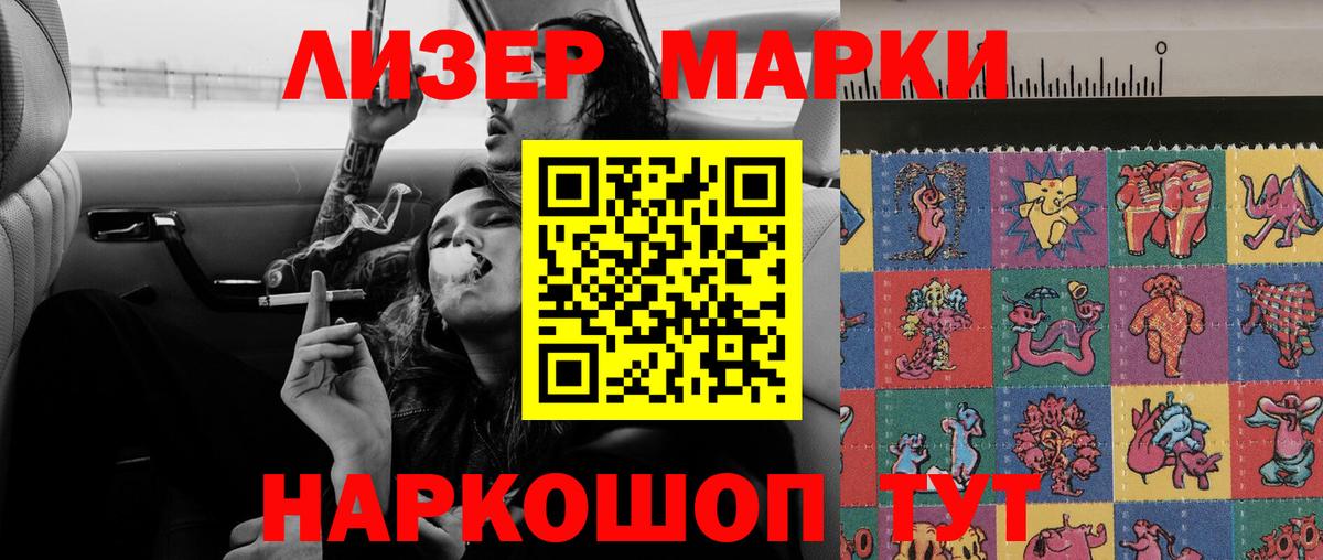 Псилоцибиновые грибы Новокубанск