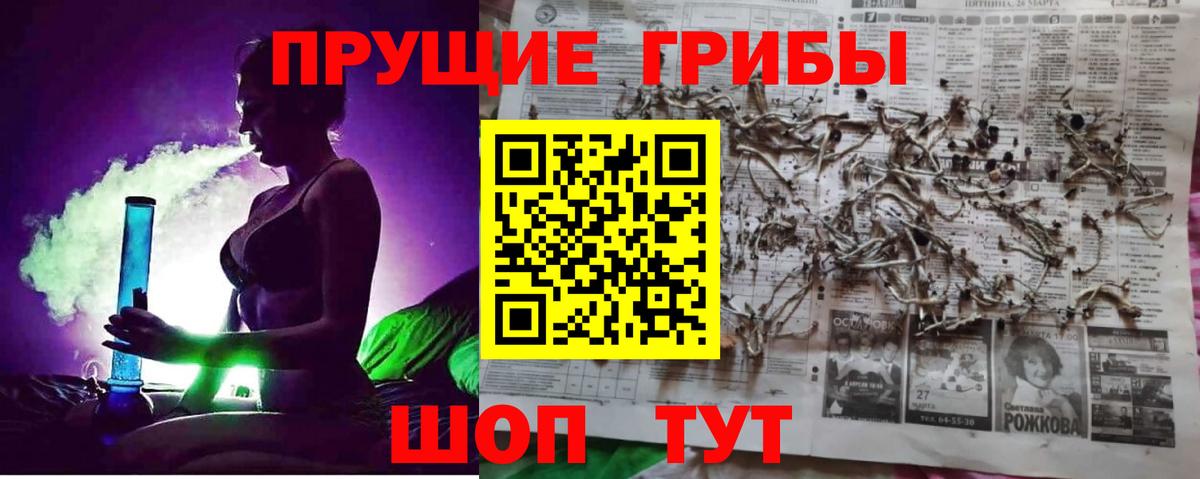 Галлюциногенные грибы Magic Shrooms Новокубанск