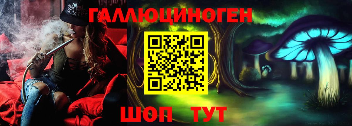 цены наркотик  Галлюциногенные грибы GOLDEN TEACHER  Вход с VPN  Новокубанск  Галлюциногенные грибы Magic Shrooms 