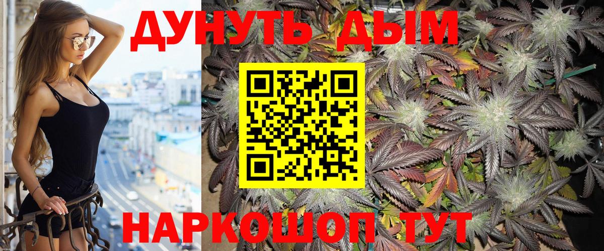 Марихуана конопля Новокубанск